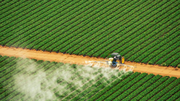 Reliable Greenbrier, TN Pest Control Solutions