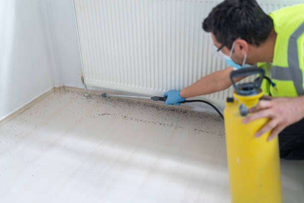 Best Affordable Pest Control Services  in Greenbrier, TN